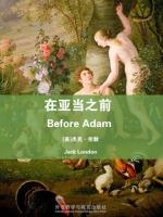 在亚当之前 Before Adam